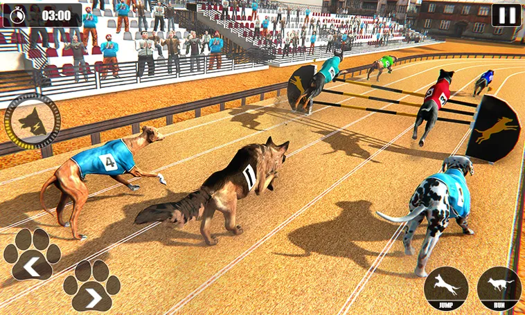 Bí Kíp Thắng Lớn Với Game Nhanh Đua Chó Tại Rikbet
