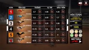 Bí Kíp Thắng Lớn Với Game Nhanh Đua Chó Tại Rikbet